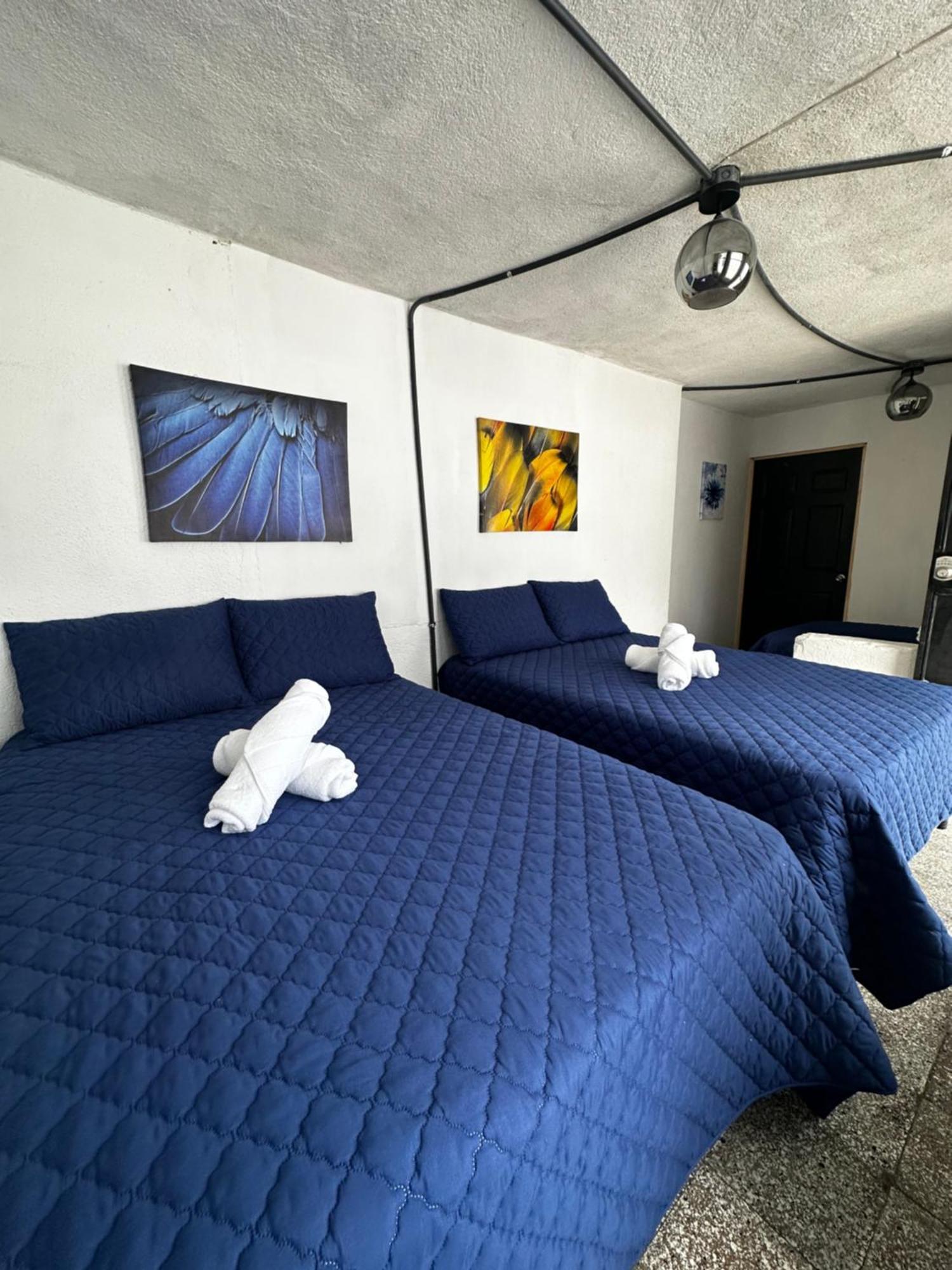 מלון גואטמלה Casa Magnolia מראה חיצוני תמונה